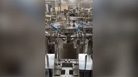 Automatic Dual-Lane Rotary Premade Pouch Packaging Machine