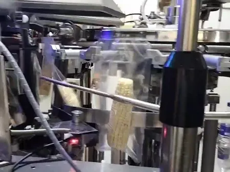 Vacuum Packaging for Fresh Corn on the Cob
